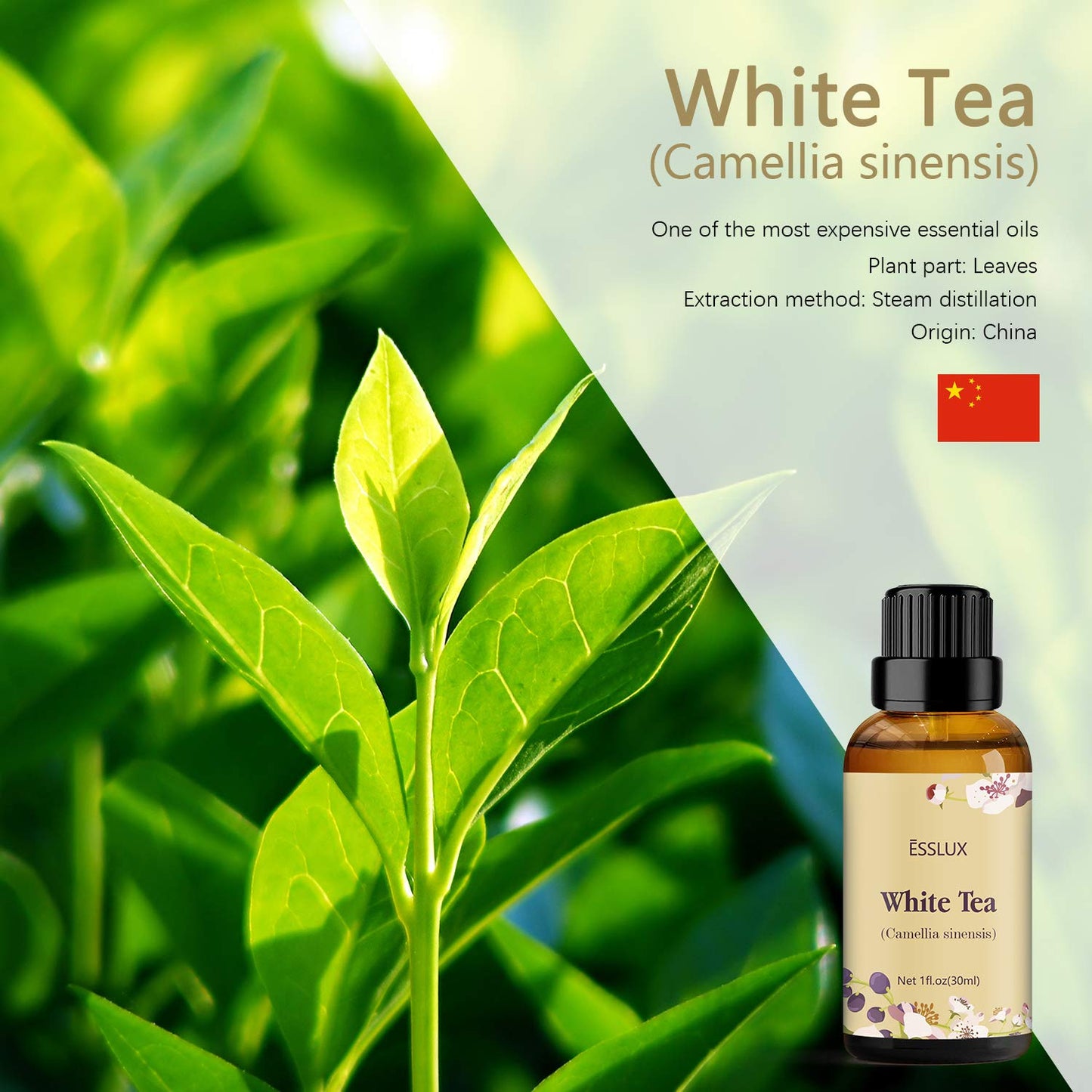 White Tea Essential Oil, Aromatherapy Essential Oils for Diffuser, Massage, Soap, Candle Making, Home Fragrance, 30 Ml